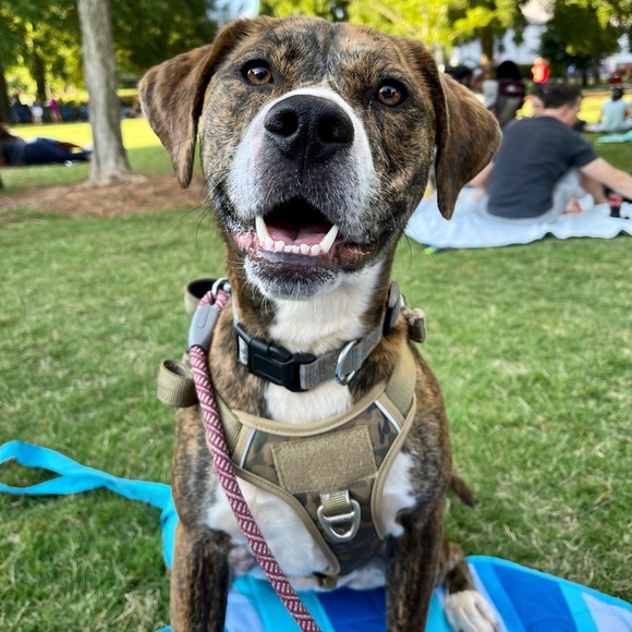 Meet your Posher, Emily - Picture 6 of 7